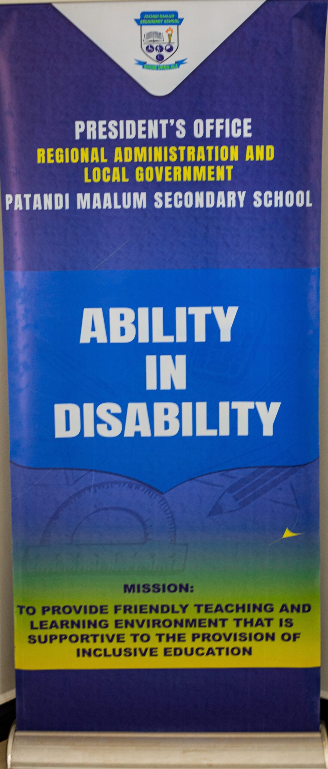 Ability in Disability